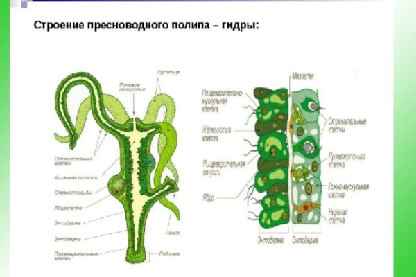 Линк кракена