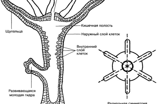 Оригинальные ссылки кракена