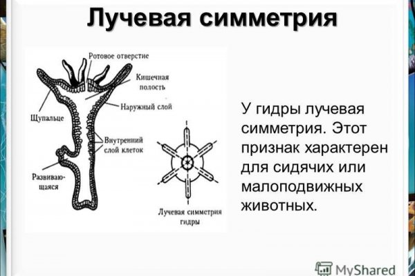 Мега или кракен