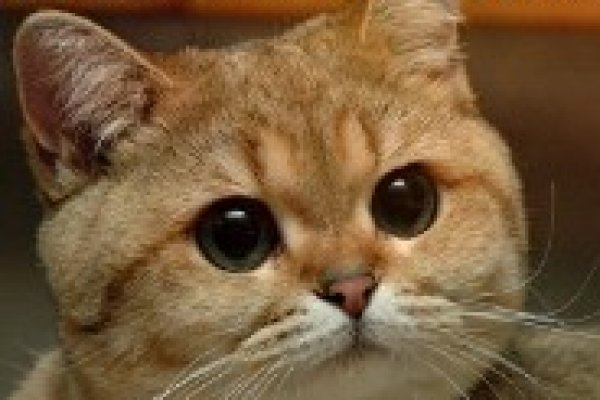 Магазины с наркотиками
